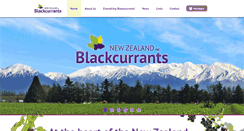 Desktop Screenshot of blackcurrant.co.nz